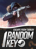 Mystery Box: Escape From Tarkov